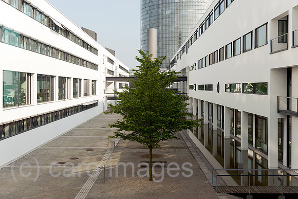 0BG120522D001CAROE.JPG