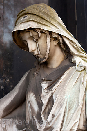 0BG111121D063CAROE.JPG