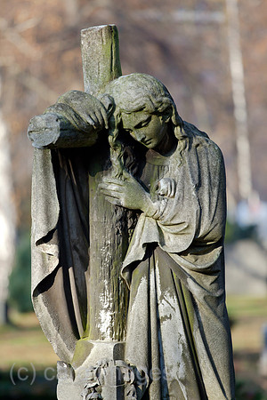 0BG111121D080CAROE.JPG