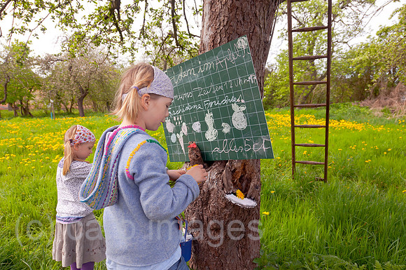 0BG120428D011CAROE.JPG