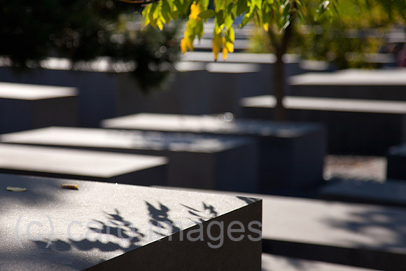 0BG110928D019CAROE.JPG