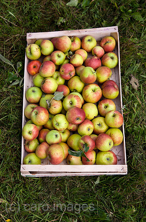0BG110828D004CAROE.JPG