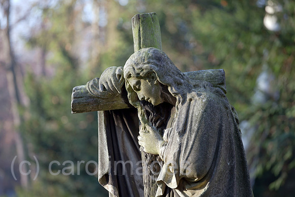 0BG111121D091CAROE.JPG