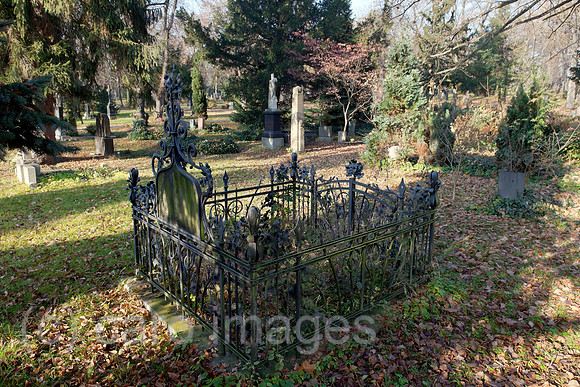 0BG111121D056CAROE.JPG