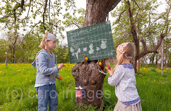 0BG120428D014CAROE.JPG