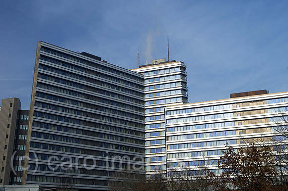 00R060131D068CAROE.JPG