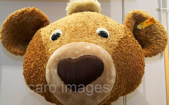 00R060207D024CARO.JPG