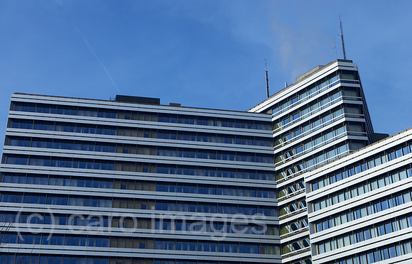 00R060131D071CAROE.JPG