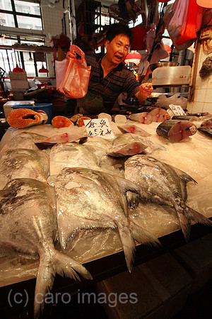 00S070426D074CAROEP.JPG