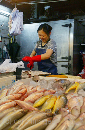 00S070425D005CAROEP.JPG