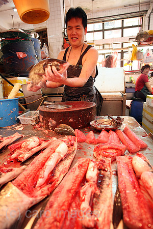 00S070426D073CAROEP.JPG