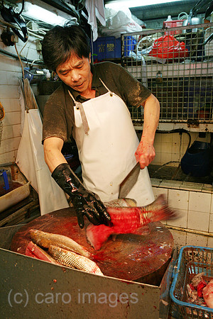 00S070425D034CAROEP.JPG
