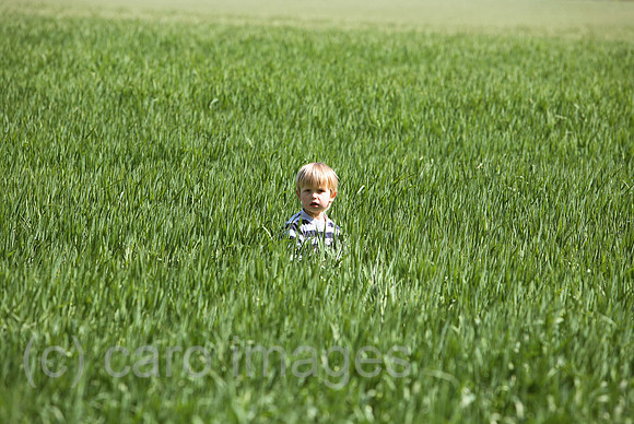 00S070422D301CAROEP.JPG