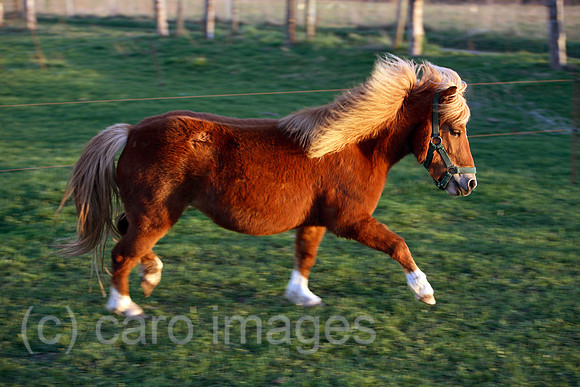 00S070413D041CAROEP.JPG