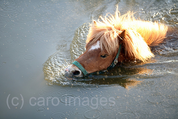 00S070414D019CAROEP.JPG