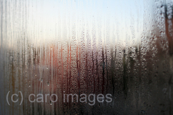 00S070218D100CARO.JPG
