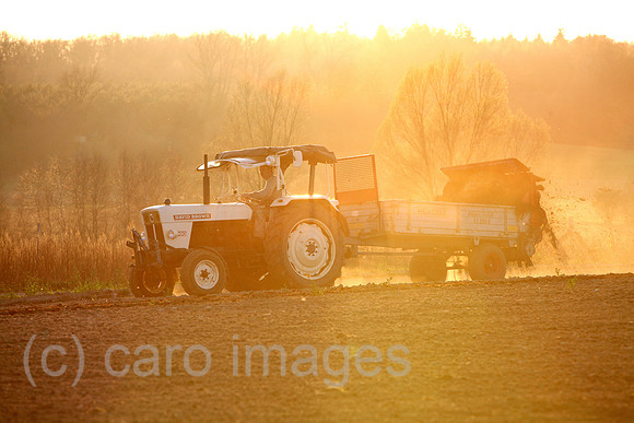 00S070411D035CAROEP.JPG