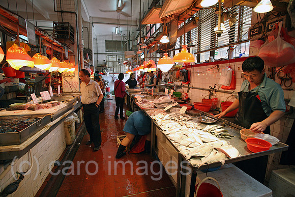00S070426D058CAROEP.JPG