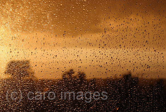 00S070512D306CAROEP.JPG