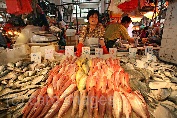 00S070426D059CAROEP.JPG