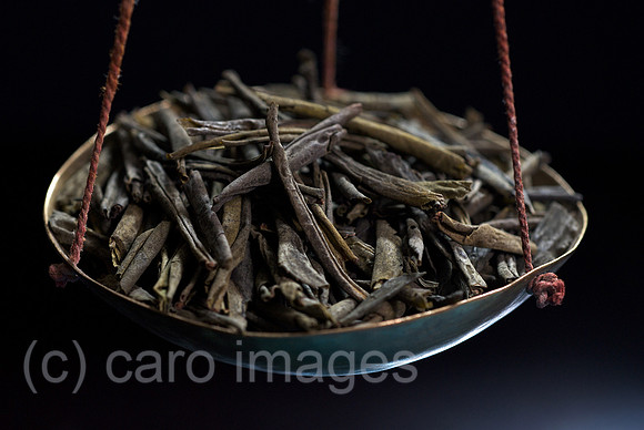 00N090914D011CARO.JPG