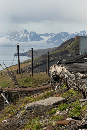 00K060715D077CAROE.JPG