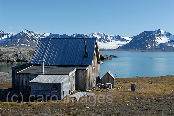 00K060715D028CAROE.JPG