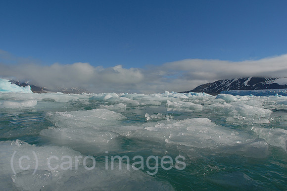 00K060715D031CAROE.JPG