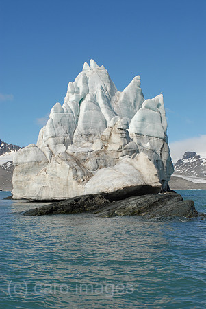 00K060715D002CAROE.JPG