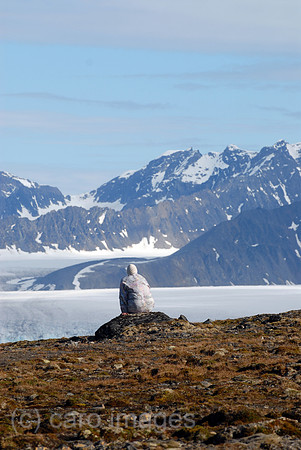 00K060715D010CAROE.JPG