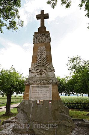 00A080520D368CARO.JPG