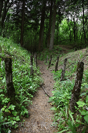 00A080520D283CARO.JPG