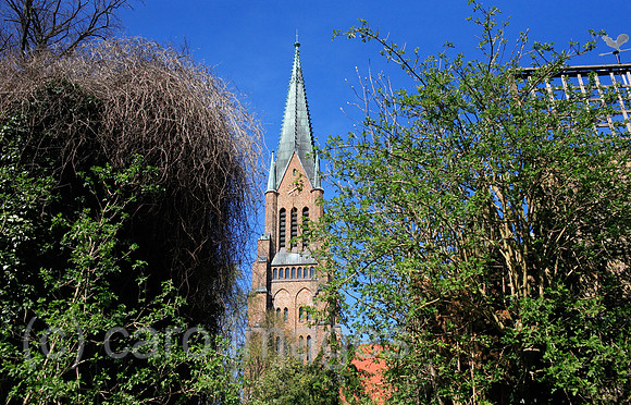 00B070416D088CARO.JPG