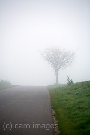 00B070412D007CARO.JPG