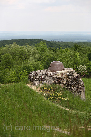 00A080520D332CARO.JPG