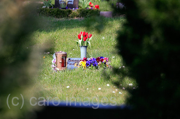 00B070411D067CARO.JPG