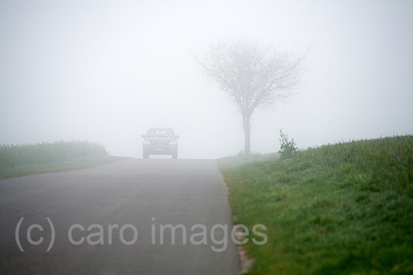 00B070412D009CARO.JPG