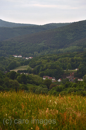 00A080520D381CARO.JPG