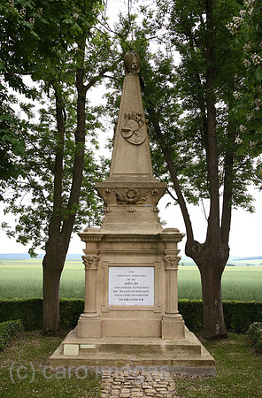00A080520D362CARO.JPG