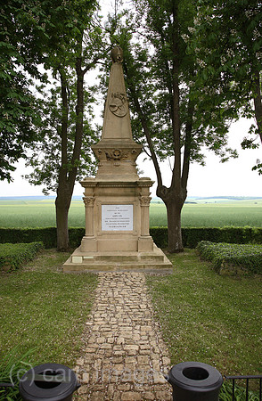 00A080520D358CARO.JPG