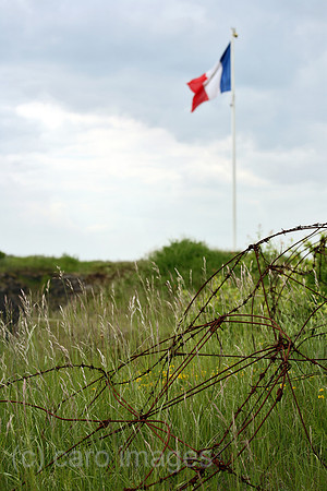 00A080520D329CARO.JPG