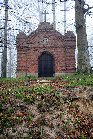 00B070412D005CARO.JPG