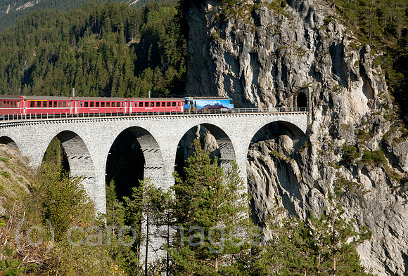 00A111001D411CARO.JPG