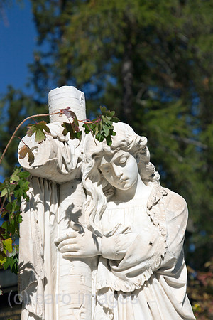 00A111004D047CARO.JPG