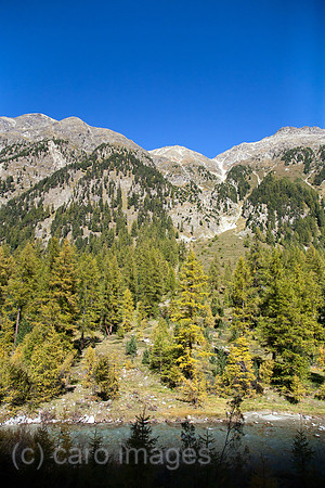 00A111003D045CARO.JPG