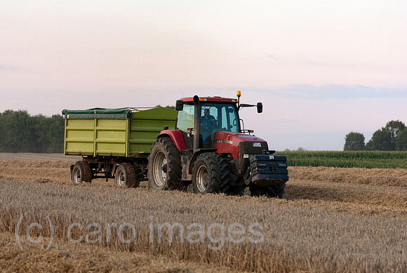 00A110807D120CARO.JPG