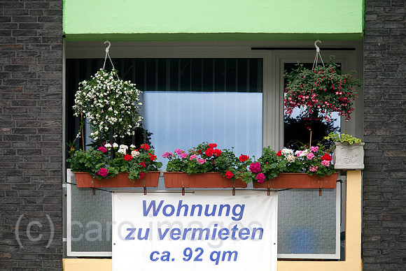 00X100610D020CARO.JPG