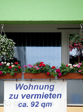 00X100610D021CARO.JPG