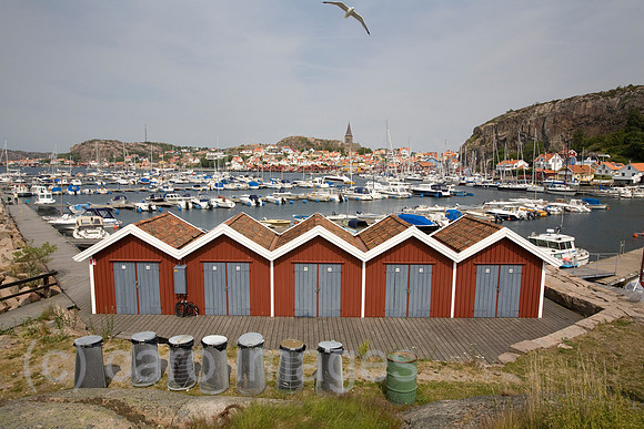 00X100629D050CARO.JPG