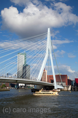 00X100806D103CARO.JPG